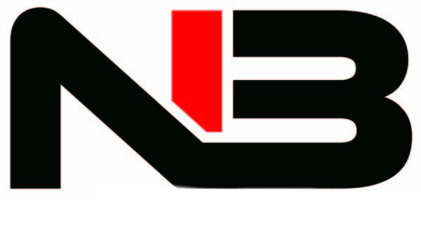 North Bayou logo