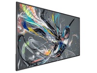 Philips Q-Line 65-inch Digital Signage Display – 65BDL3511Q - view 2