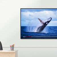 BenQ ST02S 86-inch 4K Smart Signage Display – ST8602S - view 12