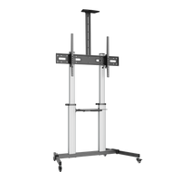 VSYS VFS44-610TW large-format mobile TV cart, angled view