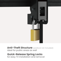 VSYS VS03P-610T anti-theft locking structure and quick-release spring lock detail