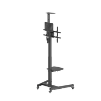 VSYS VTLS17H-46TW tilt range with camera and equipment shelves