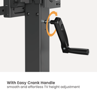 VSYS VTLS17H-46TW camera shelf and equipment shelf detail
